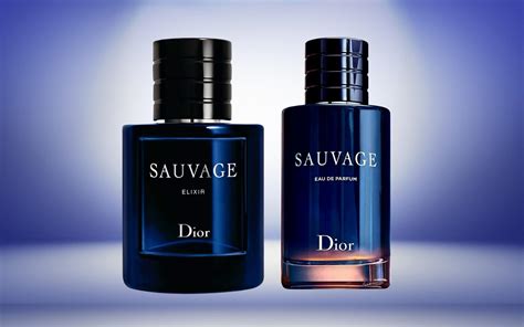 sauvage dior parfum vs elixir|dior sauvage elixir smell.